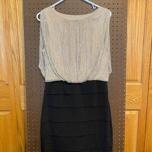 Enfocus Studio Sheath Dress (12)